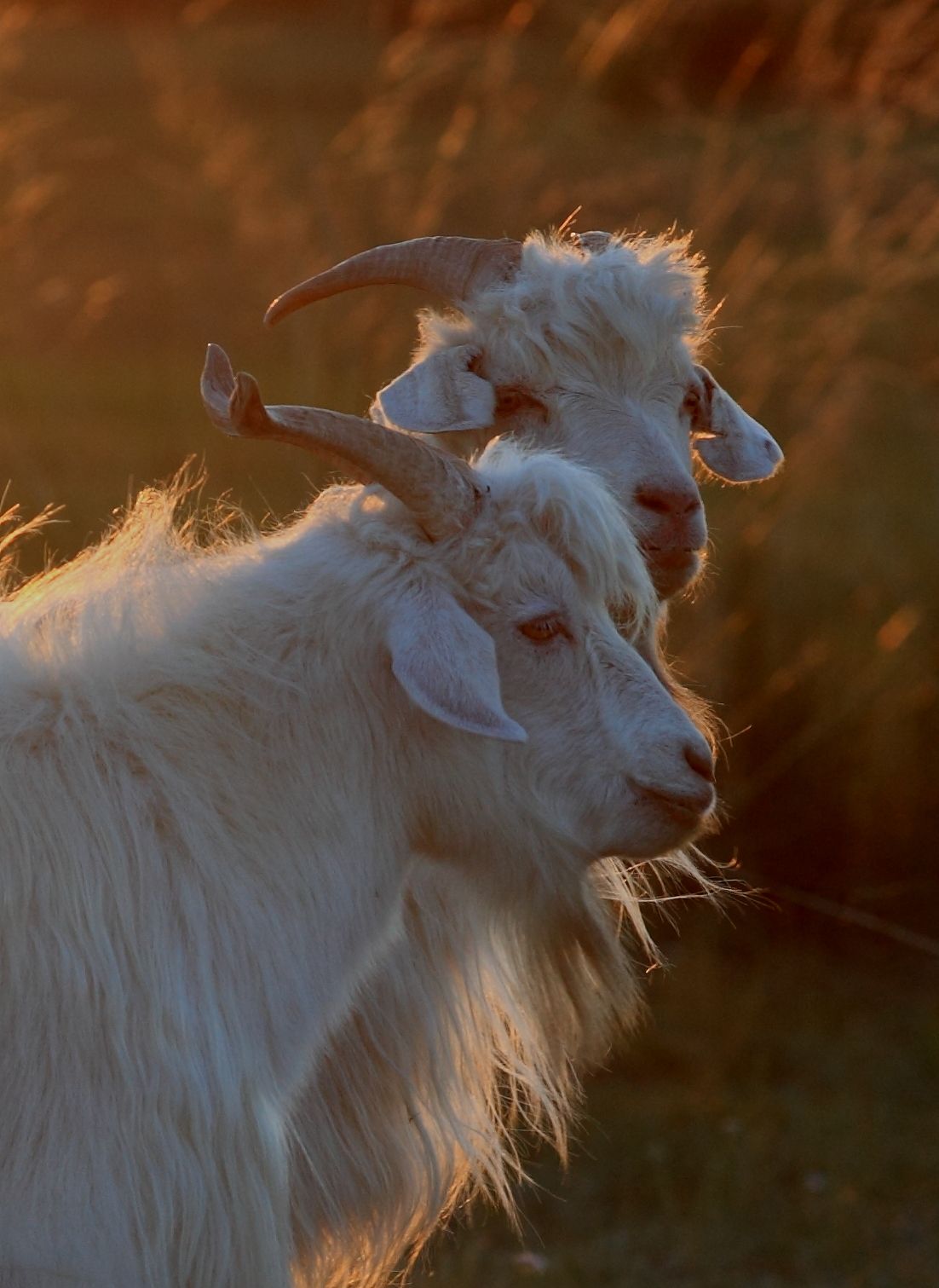 Bilinçli Tüketimde Sürdürülebilir Modanın Önemi