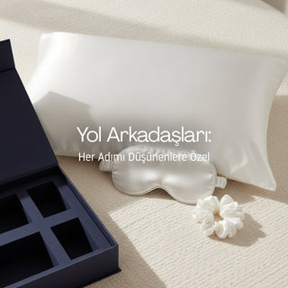 Yol Arkadaşları