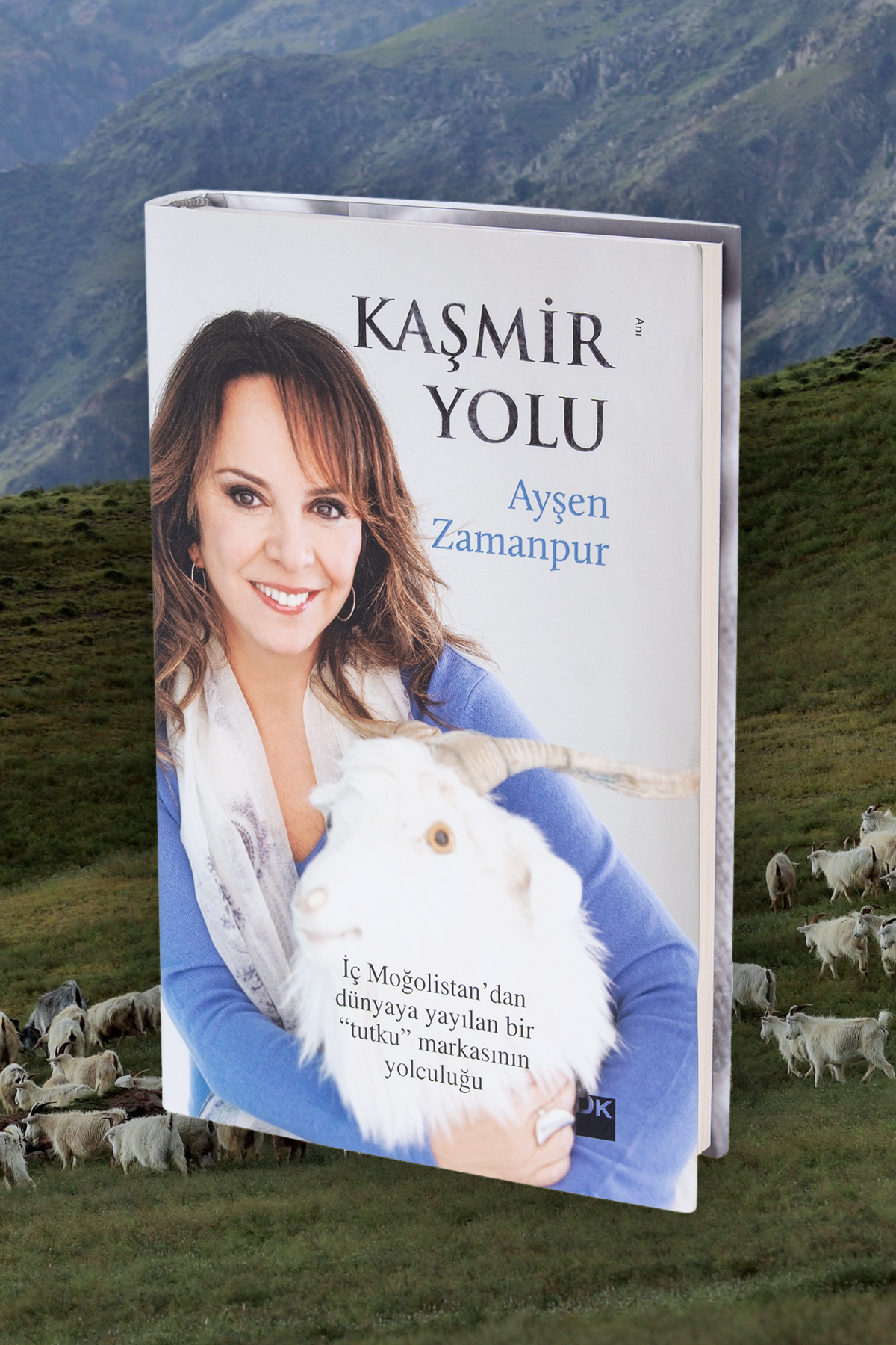 Standart Kaşmir Yolu