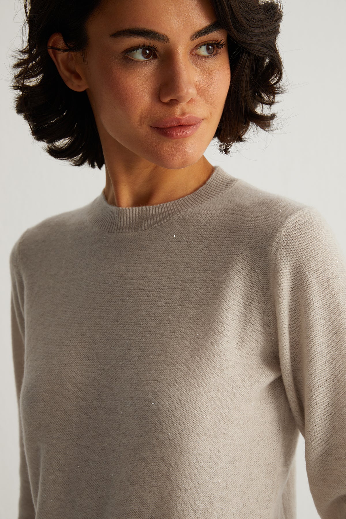 Bej Alexia Kaşmirli İşlemeli Yuvarlak Yaka Kazak