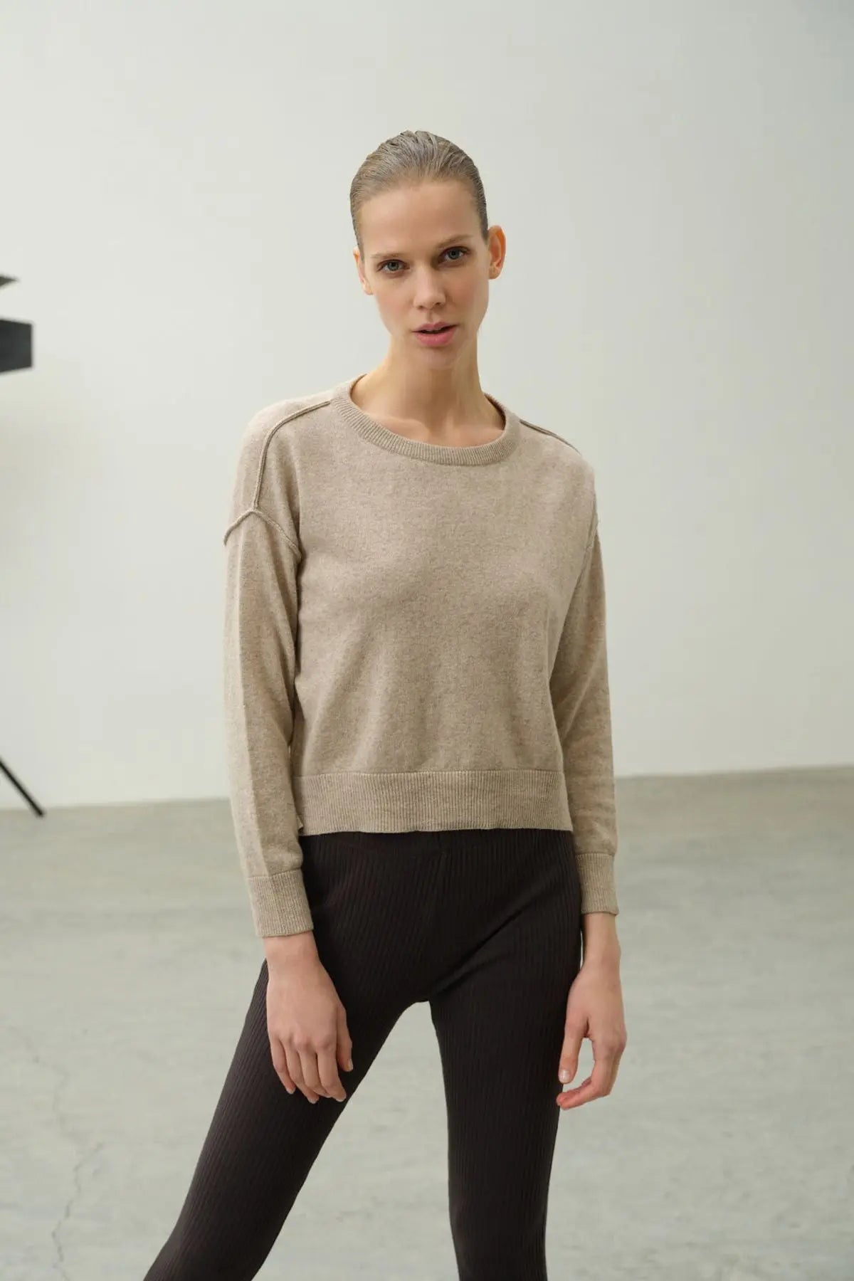 Bej Carole Dikiş Detaylı Yuvarlak Yaka Uzun Kollu Kazak Silk and Cashmere