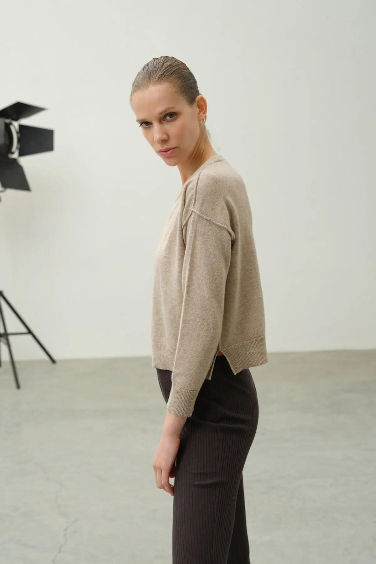 Bej Carole Dikiş Detaylı Yuvarlak Yaka Uzun Kollu Kazak Silk and Cashmere