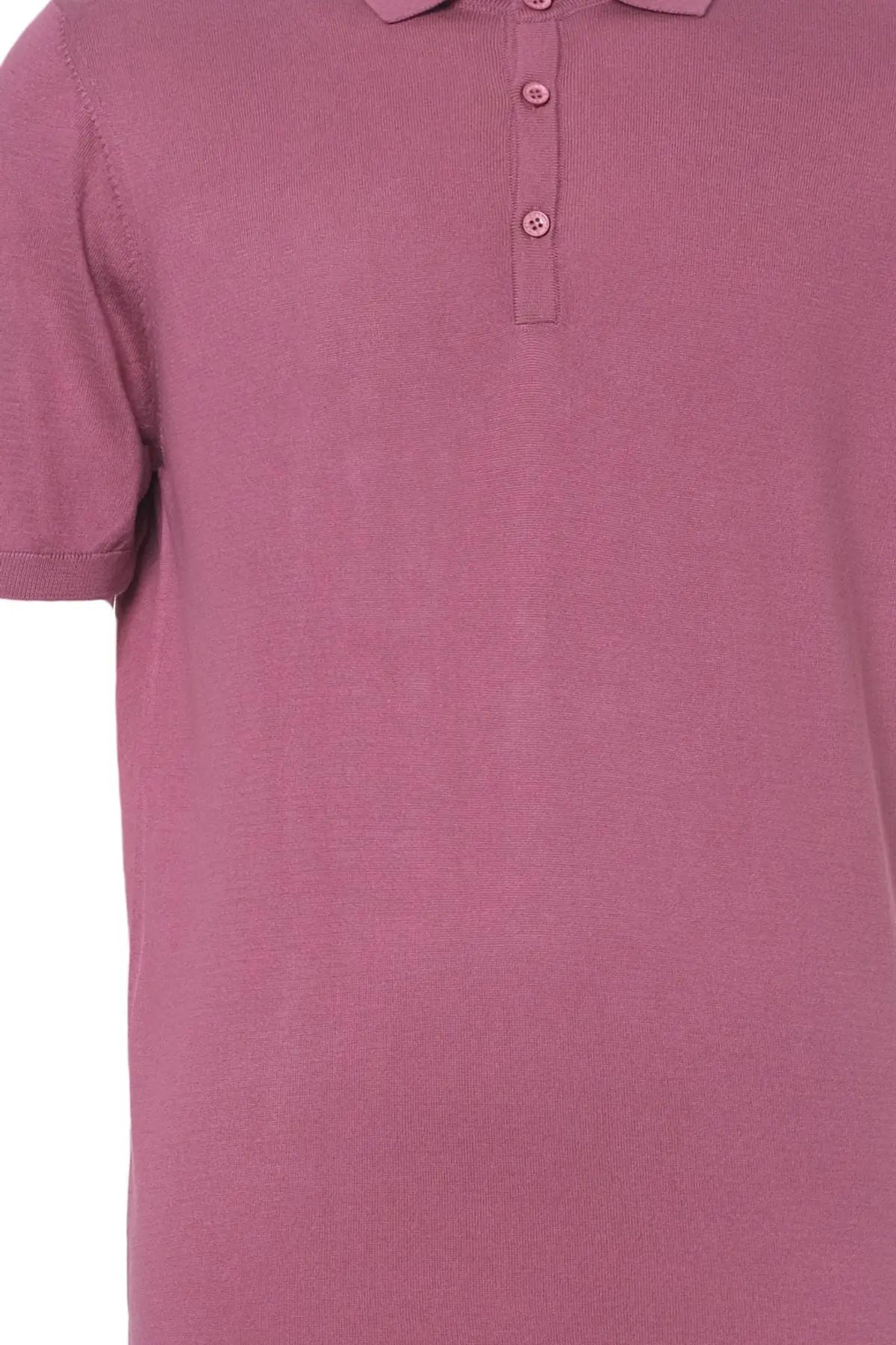 Gül Kurusu İpek Pamuk Polo Yaka Kısa Kollu Quentin Erkek Triko Tişört Silk and Cashmere