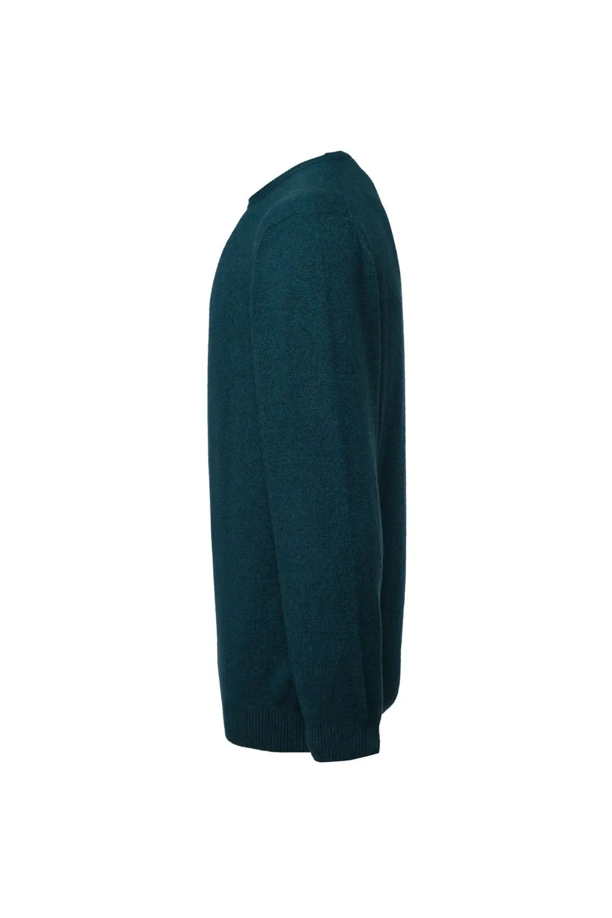 Yeşil Saf Kaşmir Yuvarlak Yaka Uzun Kollu Vincent Kazak Silk and Cashmere