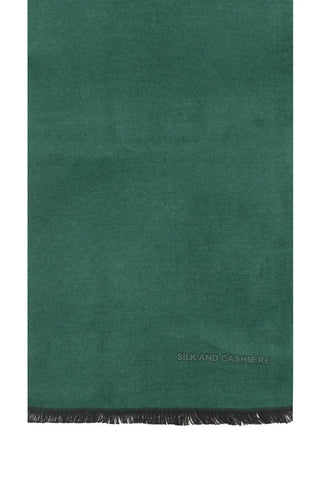 Yeşil & More Vish Düz Renk Kaşkol Atkı 30 x 180 cm Silk and Cashmere